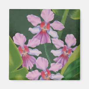 Imán Orquídeas rosas