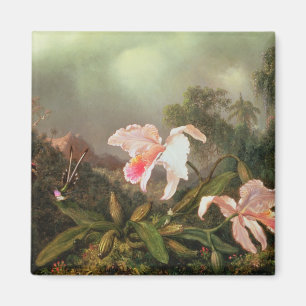 Imán Orquídeas y colibríes, 1872 de la selva