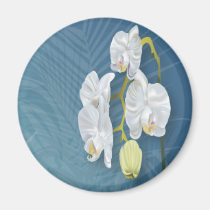 Imán Orquídeas y helechos