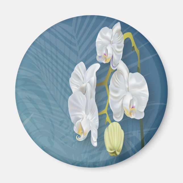 Imán Orquídeas y helechos (Frente)