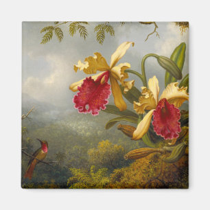 Imán Orquids y Hummingbird Heade