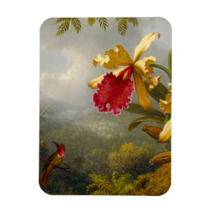Imán Orquids y Hummingbird Heade