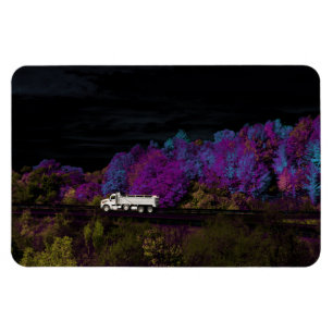 Imán oscar sale del fiesta