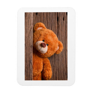 Imán Osito de Peluche Adorable Cumpleaños de Niños Guar