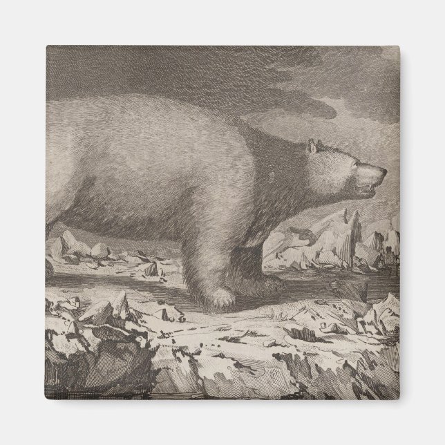 Imán Oso blanco en Alaska (Frente)