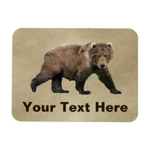Imán Oso de Kodiak