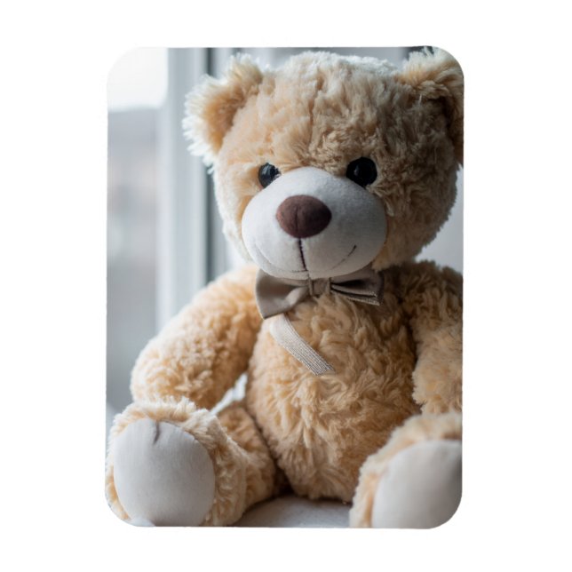 Imán Oso de peluche sentado acogedor (Vertical)