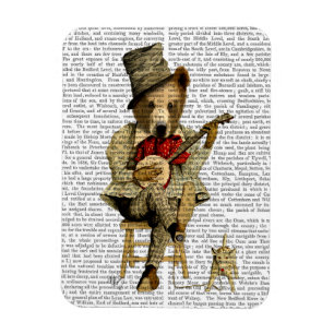 Imán Oso del banjo