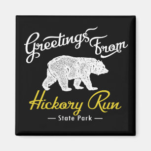 Imán Oso del parque estatal Hickory Run