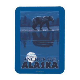 Imán Oso en claro de luna - Anchorage, Alaska
