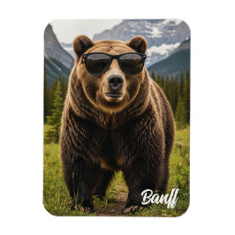 Imán Oso en gafas de sol Parque Nacional Banff Canadá