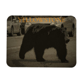 Imán Oso en la carretera Parque Nacional Yellowstone WY