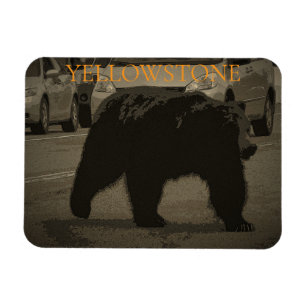 Imán Oso en la carretera Parque Nacional Yellowstone WY