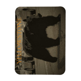 Imán Oso en la carretera Parque Nacional Yellowstone WY