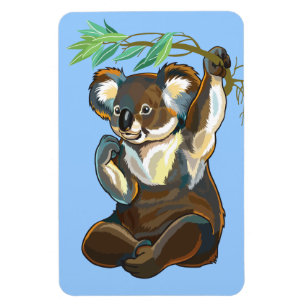 Imán oso koala