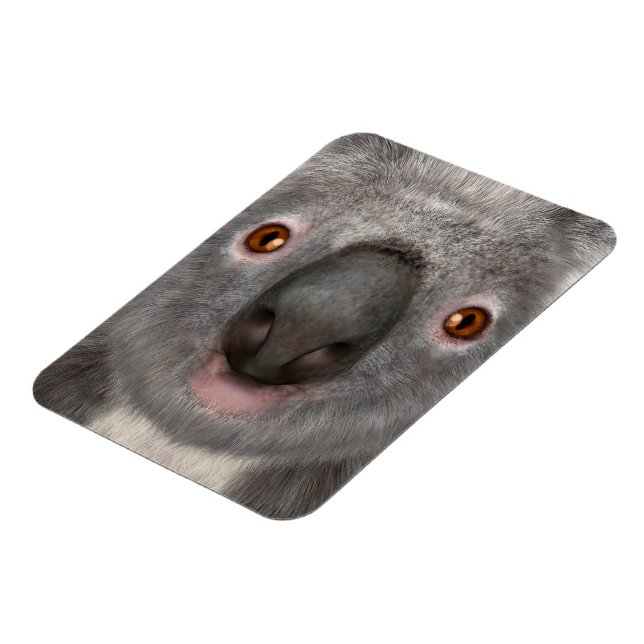 Imán Oso Koala (Lado Izquierdo)