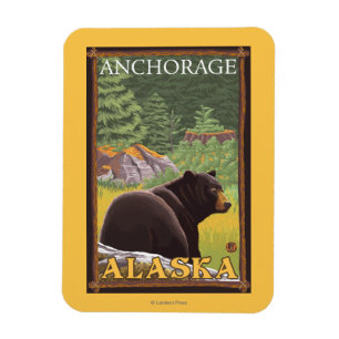 Imán Oso negro en el bosque - Anchorage, Alaska