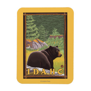 Imán Oso Negro en el bosque - Idaho