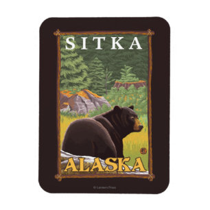 Imán Oso negro en el bosque - Sitka, Alaska