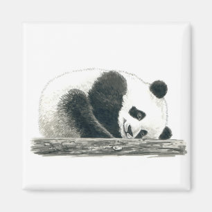 Imán Oso panda