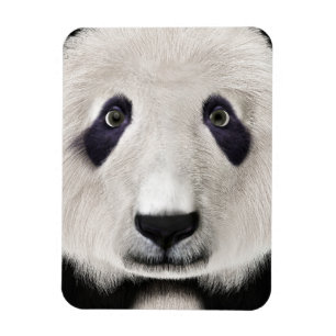 Imán Oso Panda