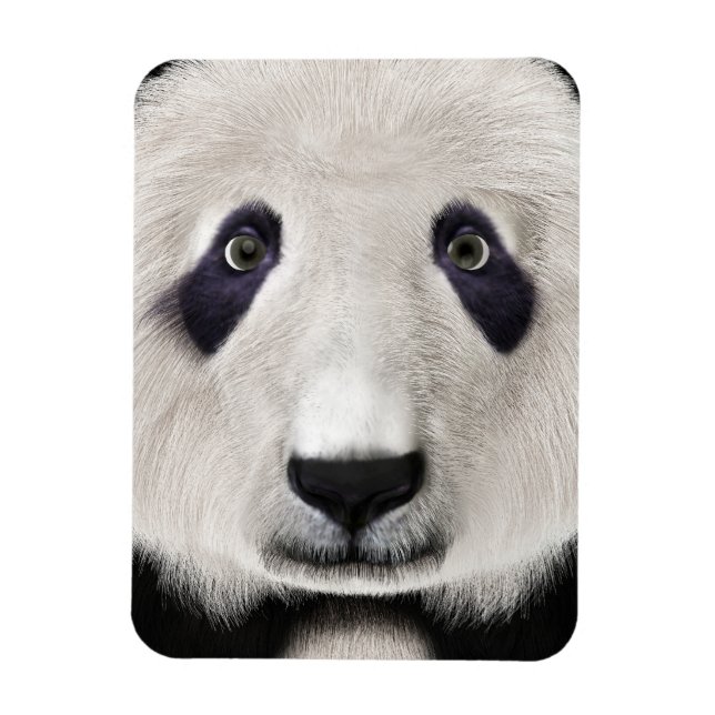 Imán Oso Panda (Vertical)