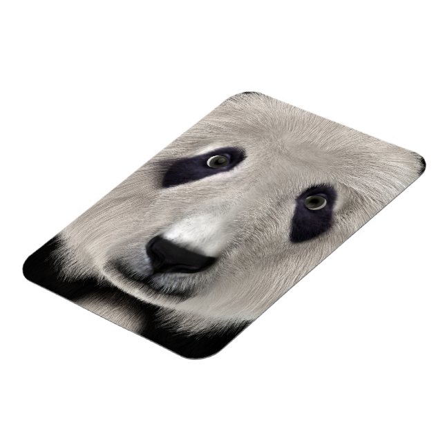 Imán Oso Panda (Lado Izquierdo)