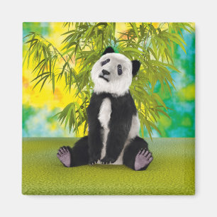 Imán Oso Panda Lindo Kawaii Regalo Perfecto para Amante