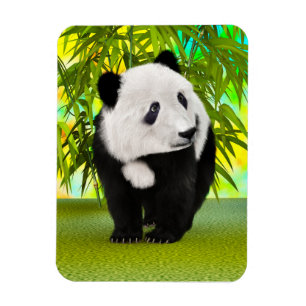 Imán Oso Panda Lindo Kawaii Regalo Perfecto para Amante