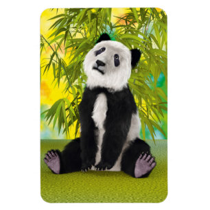 Imán Oso Panda Lindo Kawaii Regalo Perfecto para Amante