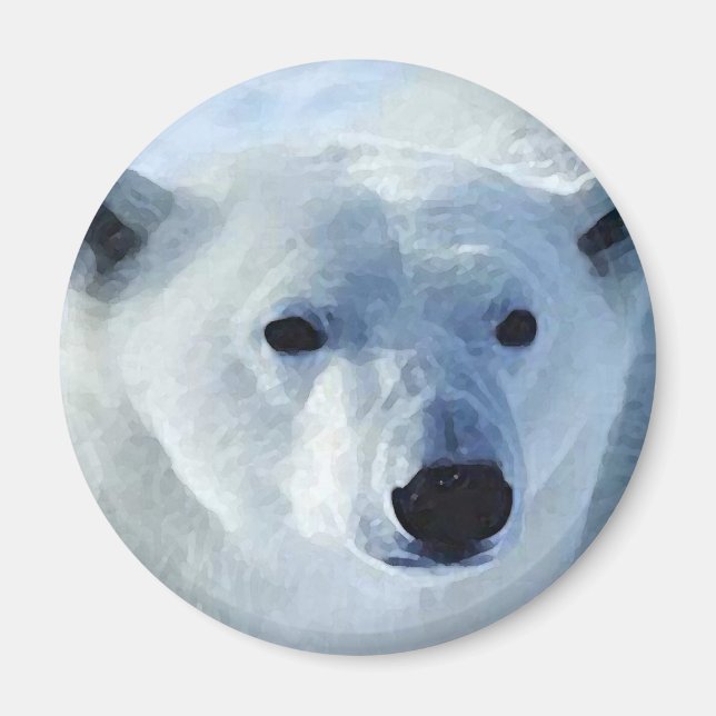 Imán Oso polar (Frente)