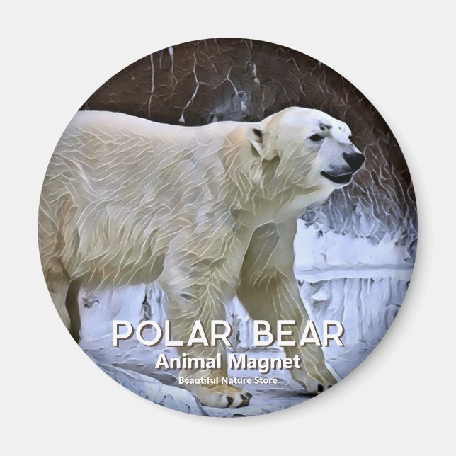 Imán Oso polar (Frente)