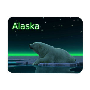Imán Oso polar del borde del hielo
