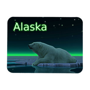 Imán Oso polar del borde del hielo
