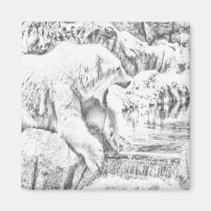 Imán Oso polar y agua