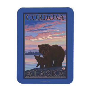 Imán Oso y Cub - Cordova, Alaska
