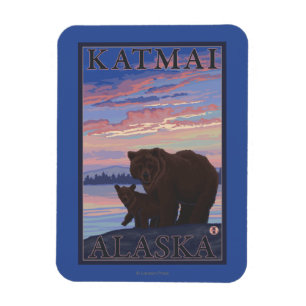 Imán Oso y Cub - Katmai, Alaska