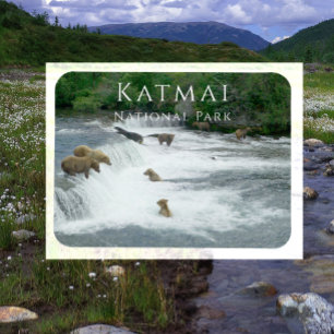Imán Osos marrones pescando el parque nacional de Katma