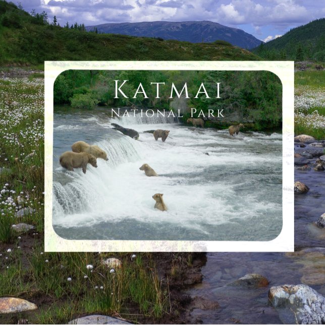 Imán Osos marrones pescando el parque nacional de Katma (Subido por el creador)
