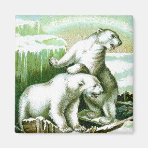 Imán Osos polares y luces del norte