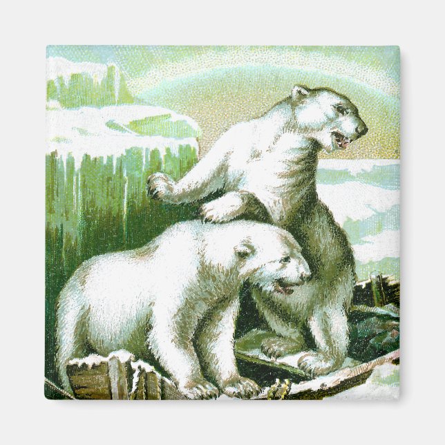 Imán Osos polares y luces del norte (Frente)