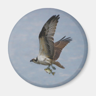 Imán Osprey