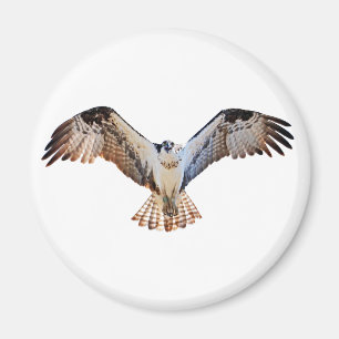 Imán Osprey