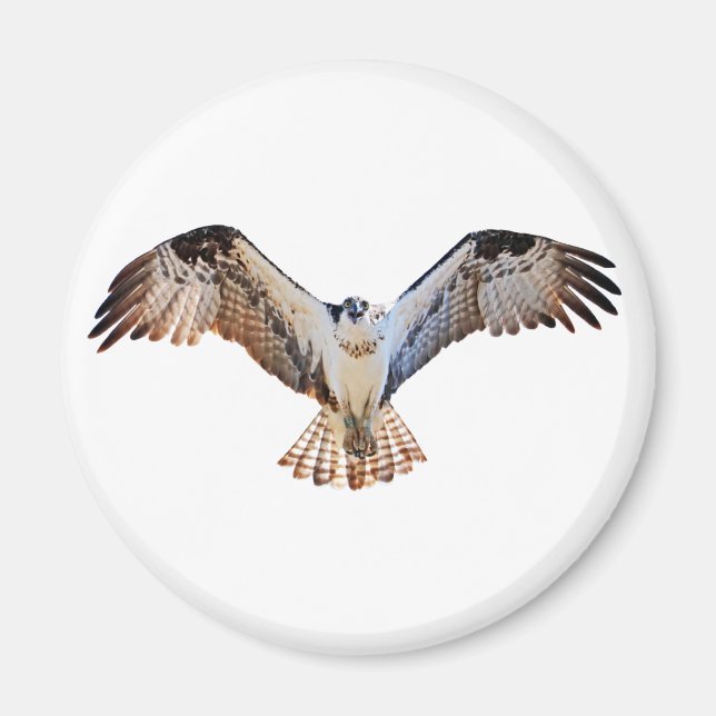 Imán Osprey (Frente)