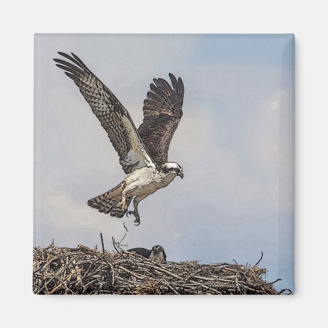 Imán Osprey en una jerarquía (Frente)