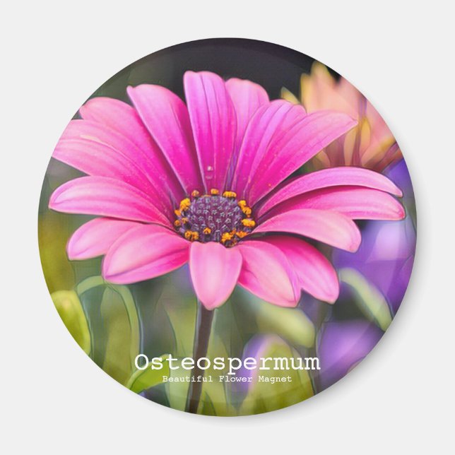 Imán Osteospermum (Frente)