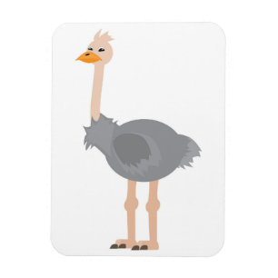 Imán Ostrich