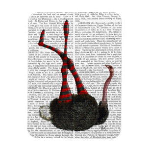 Imán Ostrich con garras a rayas