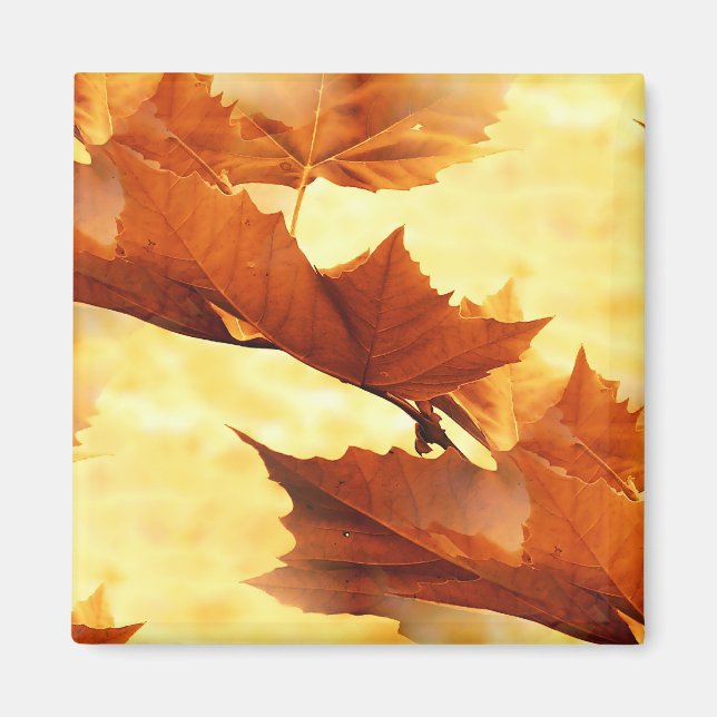 Imán Otoño (Frente)