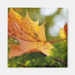 Imán Otoño